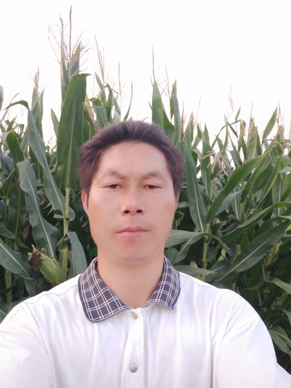 四海游龙的第二张照片--厦门交友网