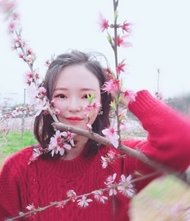 小桌子的第一张照片--厦门交友网