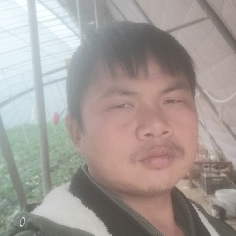 孤狼‘的第一张照片--厦门交友网