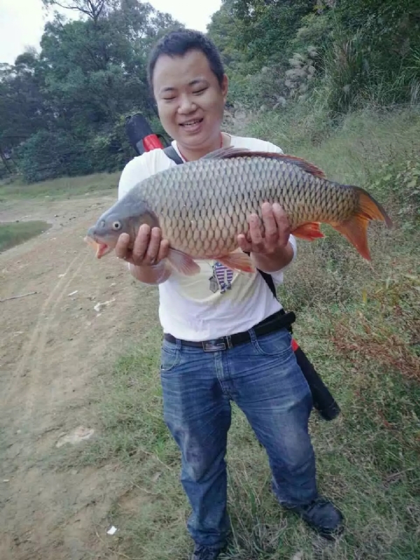 迷路的男人的第一张照片--厦门交友网