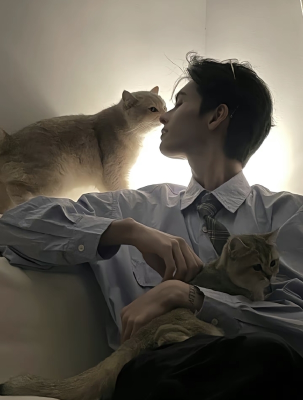 怪猫的第一张照片--厦门交友网